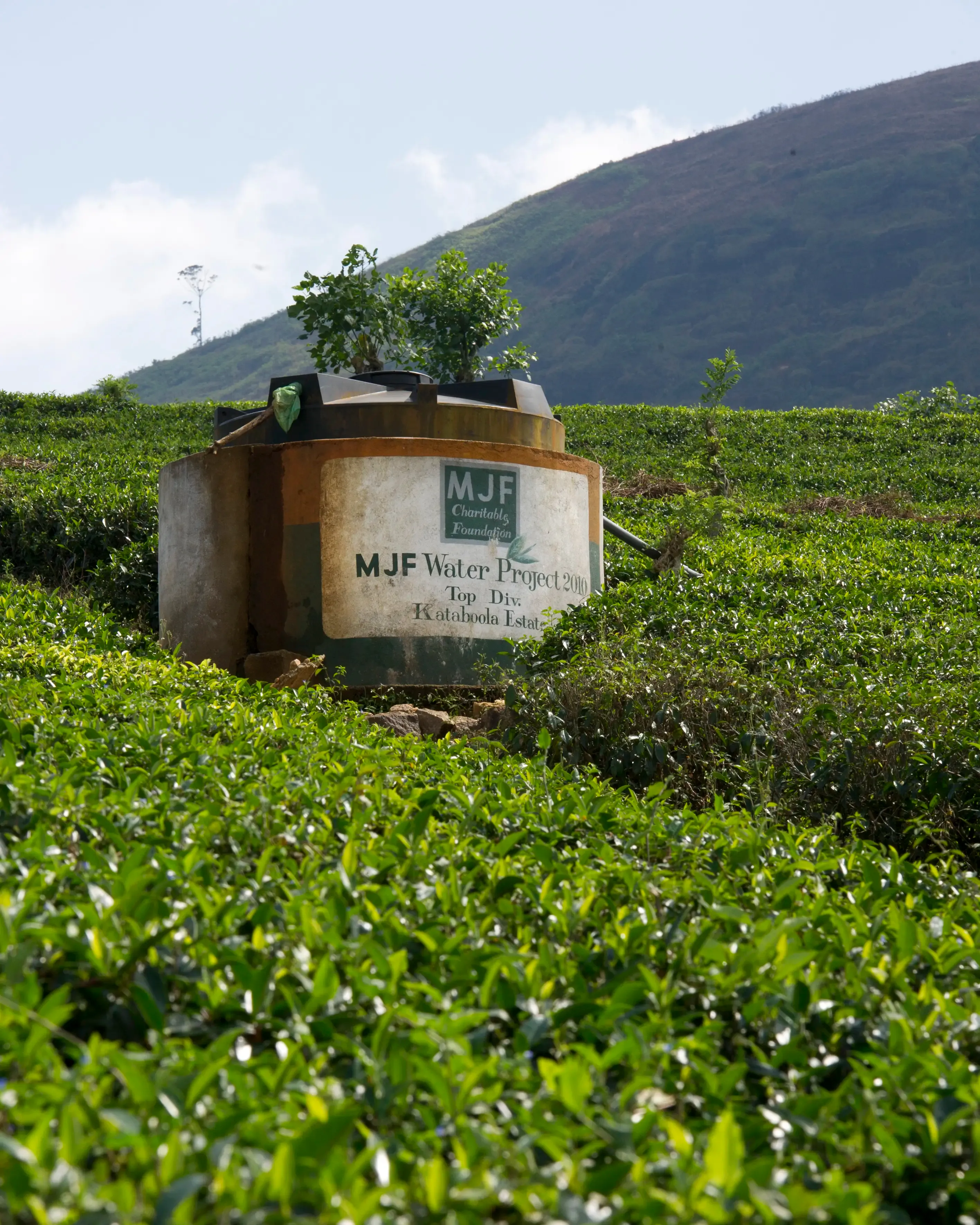 clean water for tea-pickers in Dilmah plantations