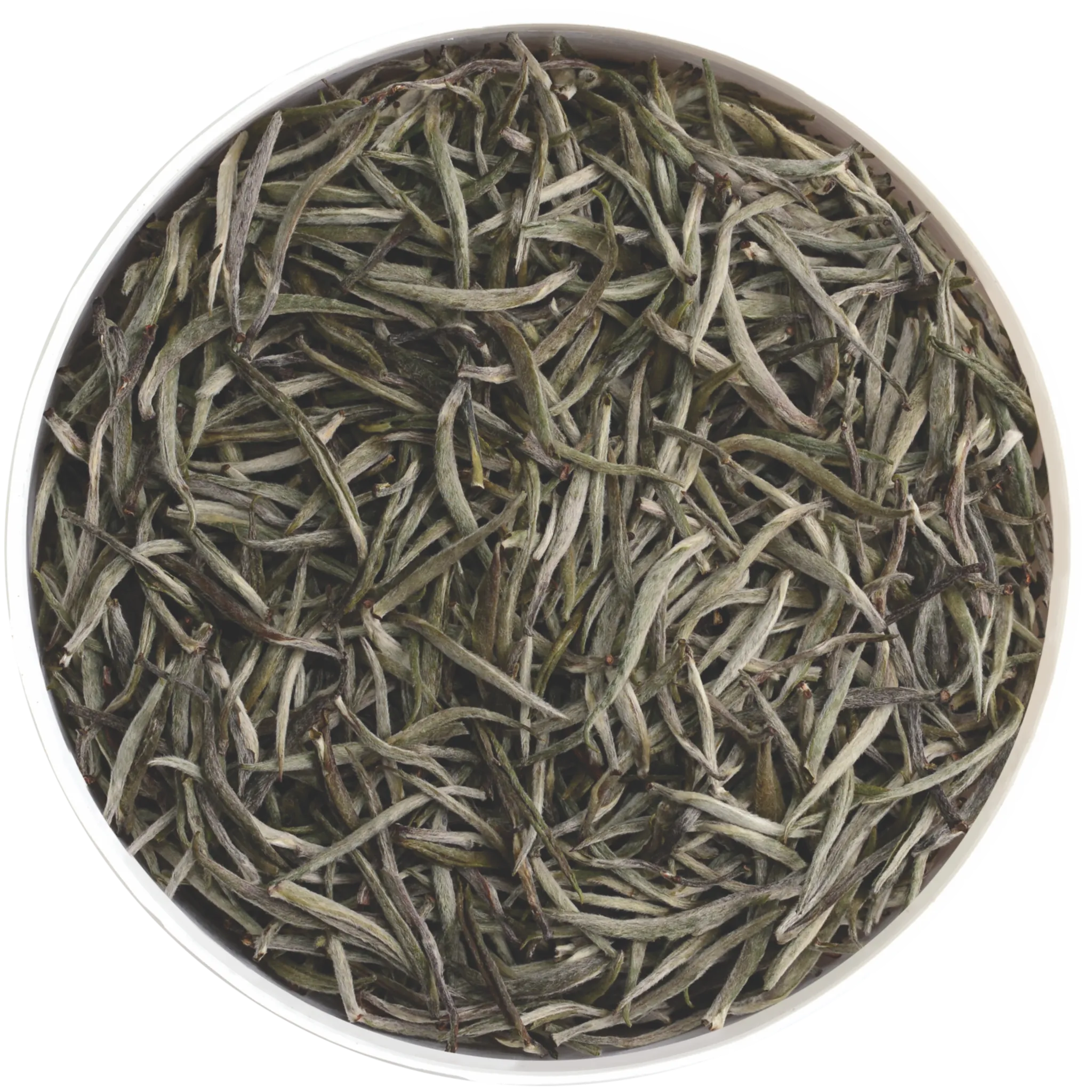 dry leaf silver tips white tea