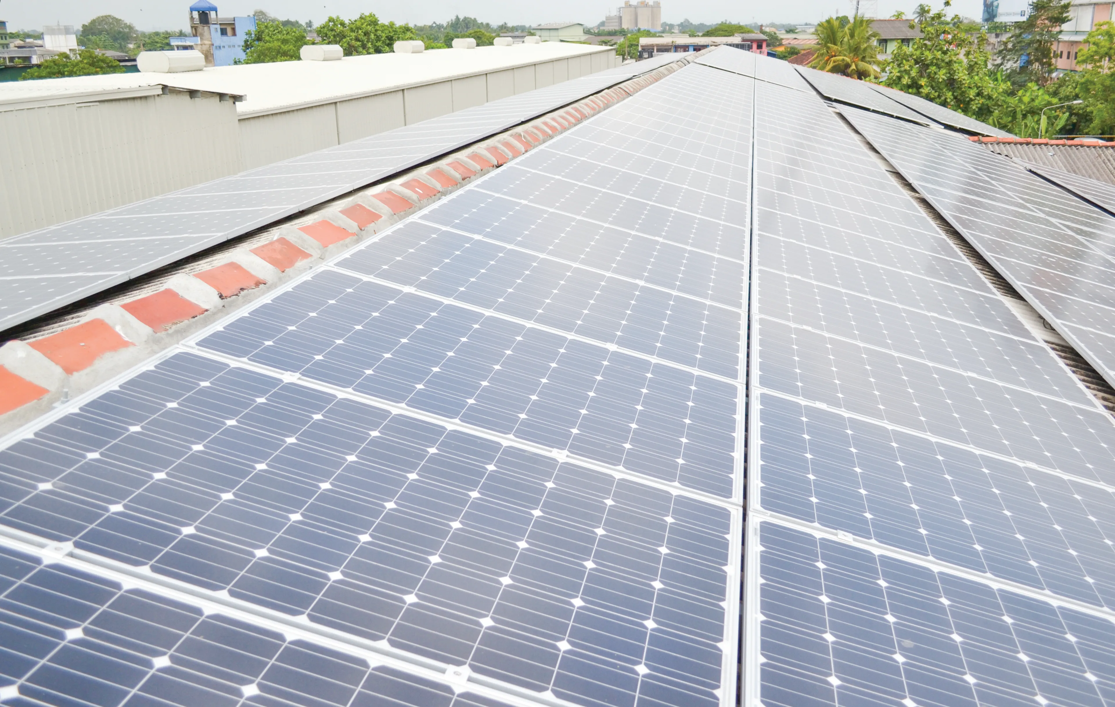 solar panels at Dilmah