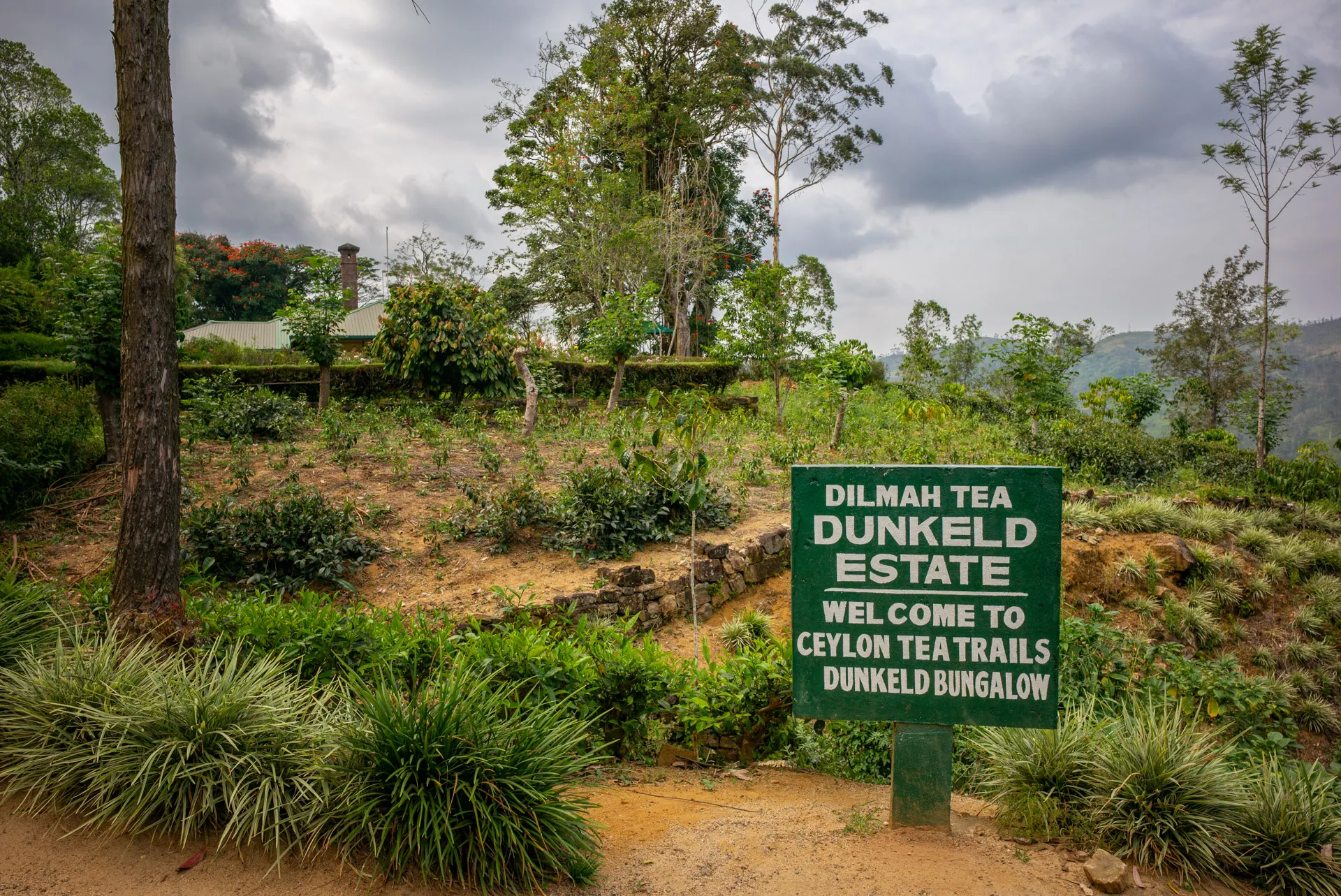 sign welcoming guests to the Tea Trails in Dunkeld tea estate