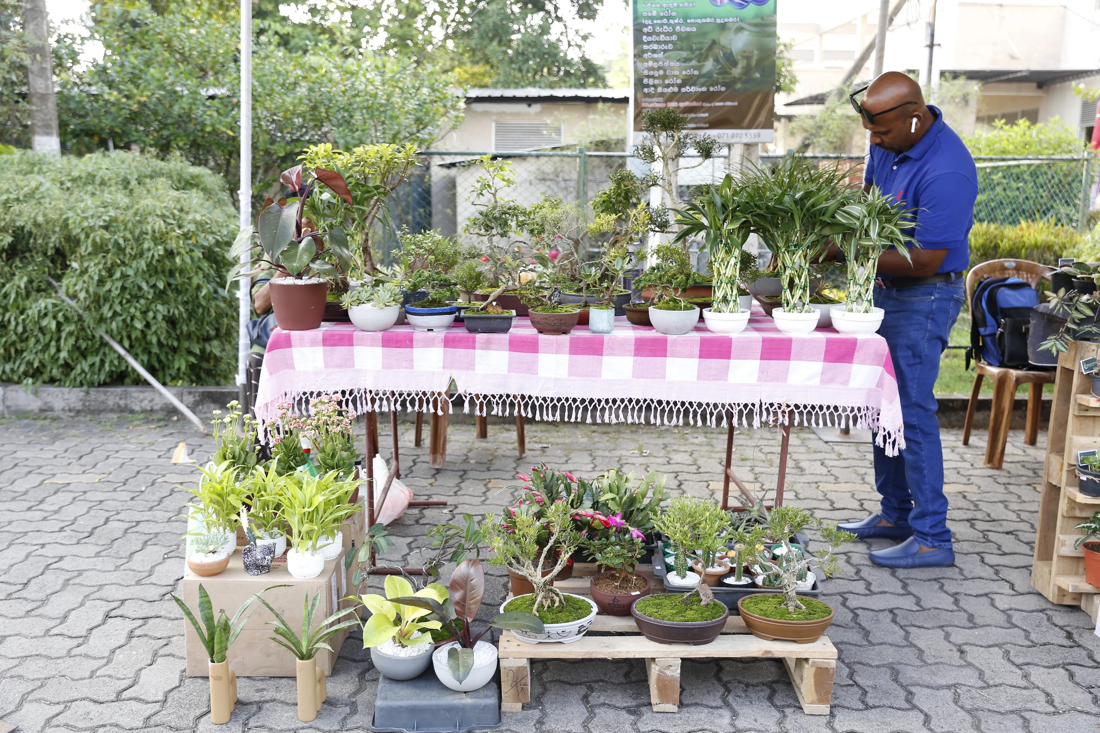 stand full of plants at People's Market