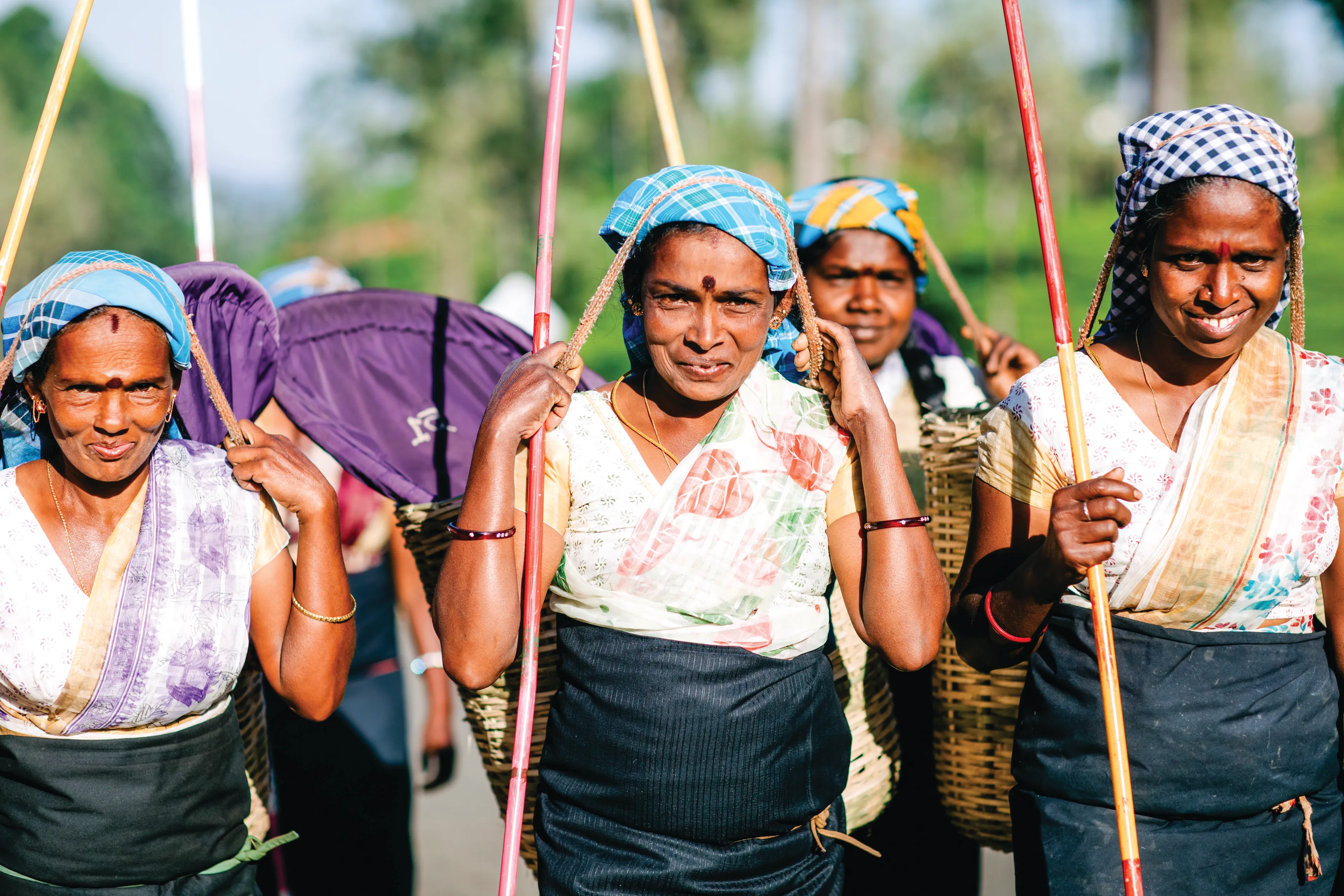 Group of women tea pickers smiling while working