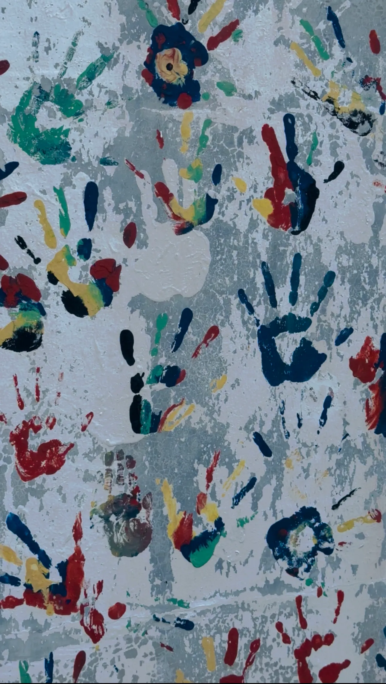 coloured hand prints on Dilmah Conservation's wall