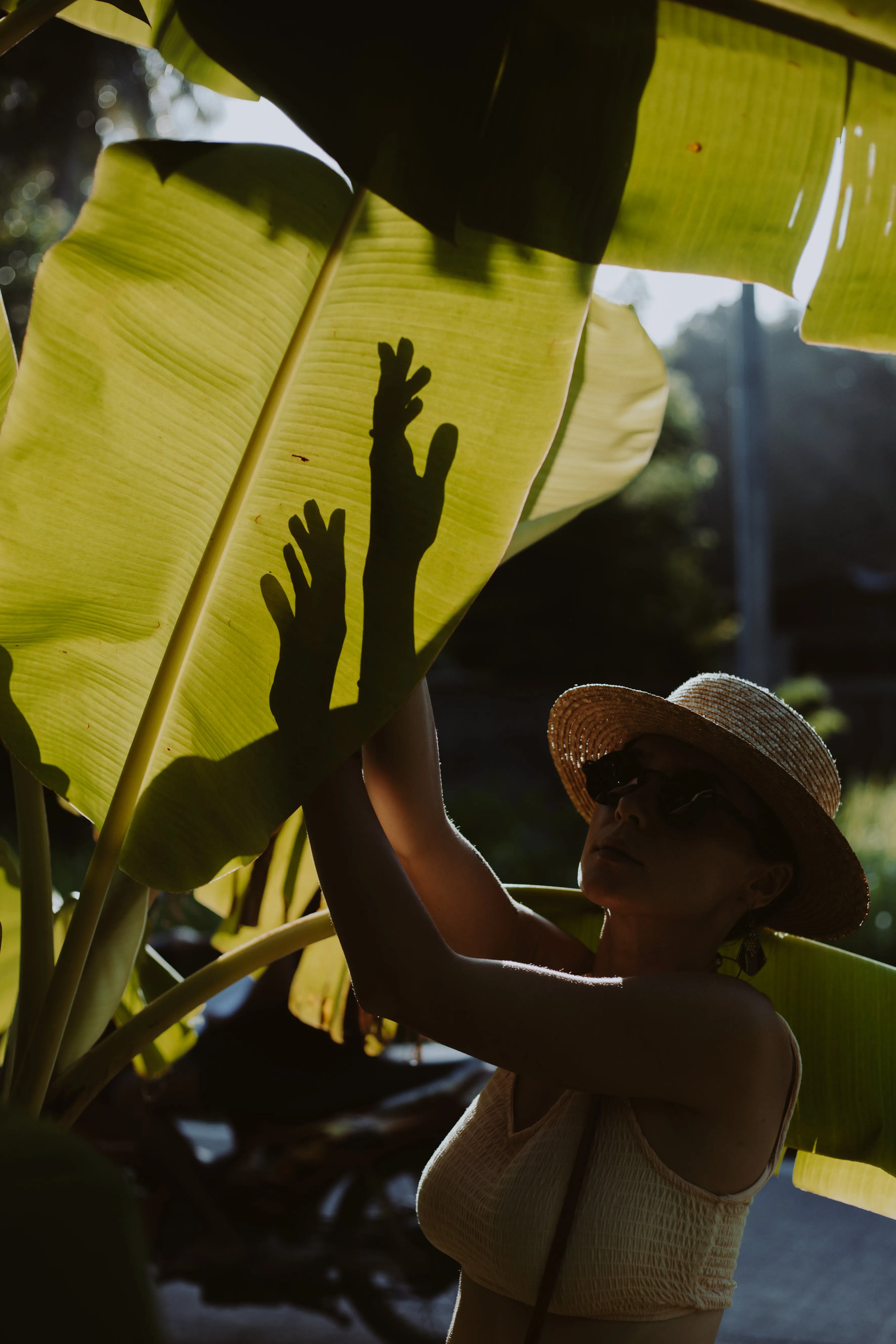 woman using her hands to play with shadow on the leafs